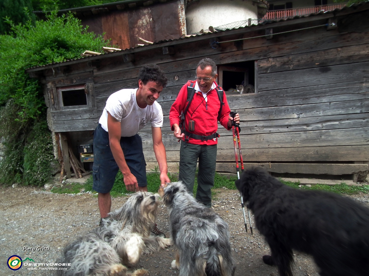 08 Cani pastore, bravi guardiani della cascina.JPG